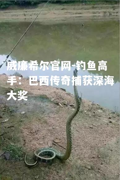 钓鱼高手：巴西传奇捕获深海大奖